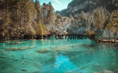 刘承军的话语, 引起了与会者的共鸣