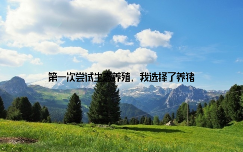 第一次尝试生态养殖, 我选择了养猪