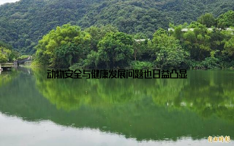 动物安全与健康发展问题也日益凸显