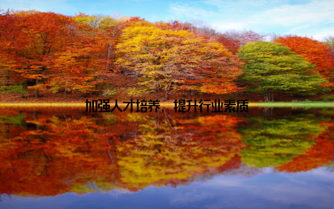 加强人才培养, 提升行业素质