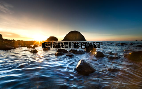 吸引我的是那些千种新品