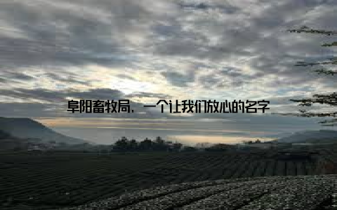 阜阳畜牧局, 一个让我们放心的名字