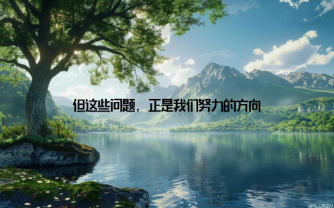 但这些问题, 正是我们努力的方向