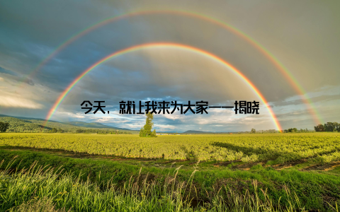 今天, 就让我来为大家一一揭晓