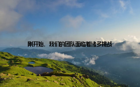 刚开始, 我们的团队面临着诸多挑战