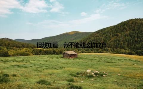 但我知道, 我不能就这样放弃