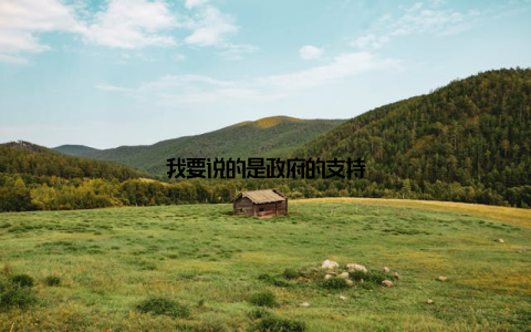 我要说的是政府的支持