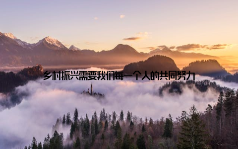 乡村振兴需要我们每一个人的共同努力