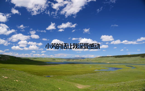 小芳的话让我深受感动
