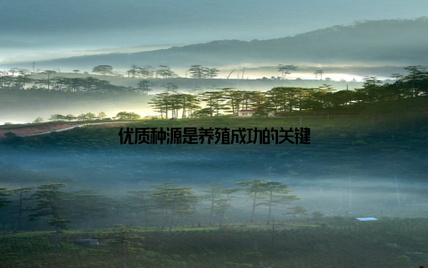 优质种源是养殖成功的关键