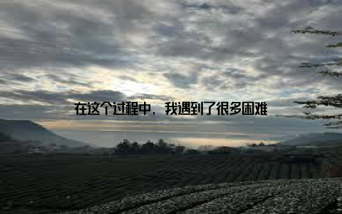 在这个过程中, 我遇到了很多困难
