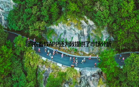润农畜牧APP还为我提供了市场分析