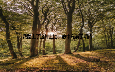 我踏上了这片土地, 心中充满了期待