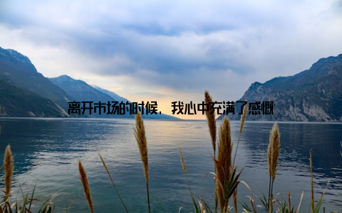 离开市场的时候, 我心中充满了感慨