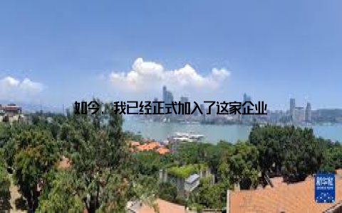 如今, 我已经正式加入了这家企业