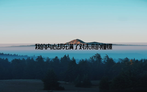 我的内心却充满了对未来的憧憬
