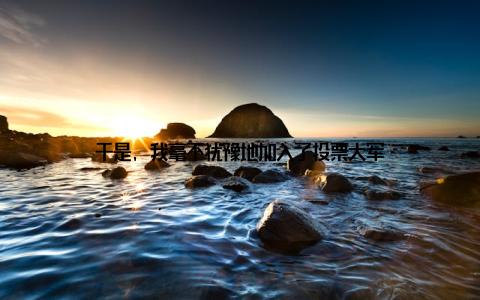 于是, 我毫不犹豫地加入了投票大军