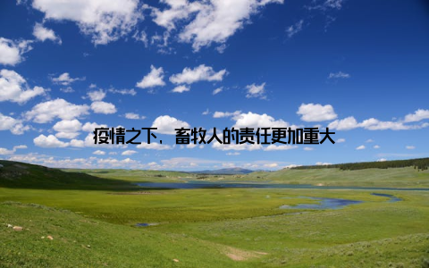 疫情之下, 畜牧人的责任更加重大