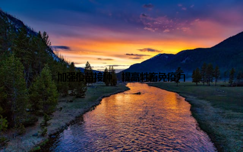 加强疫苗接种, 提高牲畜免疫力