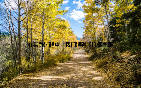 在实践过程中, 我们遇到了许多困难