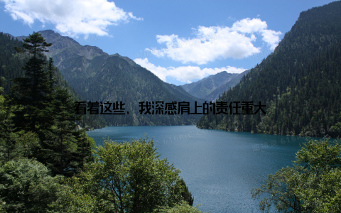 看着这些, 我深感肩上的责任重大