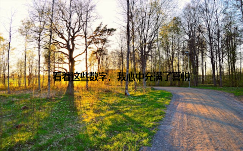 看着这些数字, 我心中充满了喜悦