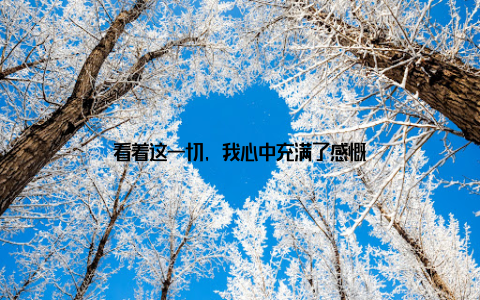 看着这一切, 我心中充满了感慨