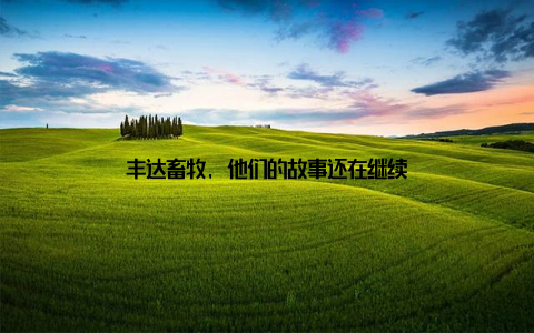 丰达畜牧, 他们的故事还在继续