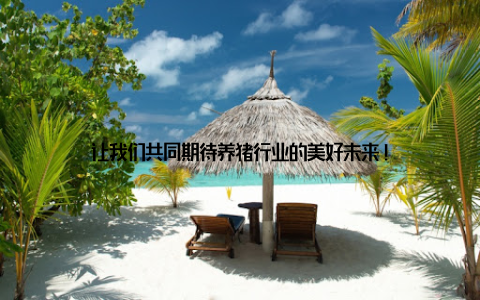 让我们共同期待养猪行业的美好未来!