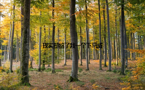 现实却给了我一个下马威