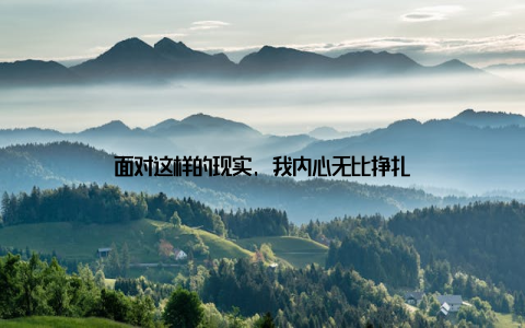 面对这样的现实, 我内心无比挣扎