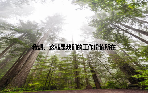 我想, 这就是我们的工作价值所在