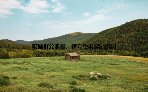 鼓励群众监督, 建立举报奖励机制