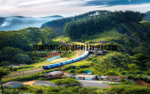 这种互帮互助的精神让我感到温暖