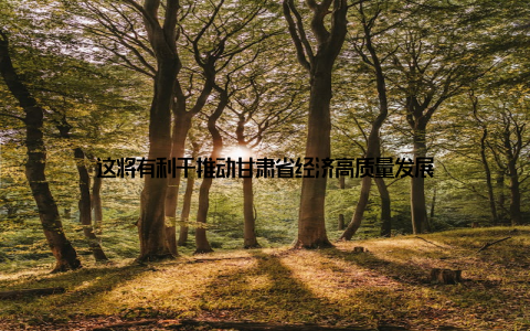 这将有利于推动甘肃省经济高质量发展