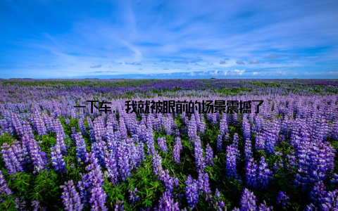一下车, 我就被眼前的场景震撼了
