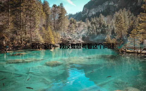回到家中, 我反复思考着这个问题