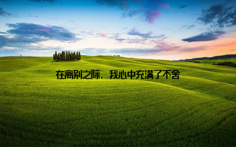 在离别之际, 我心中充满了不舍