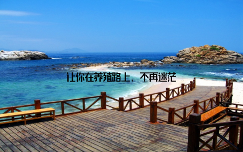 让你在养殖路上, 不再迷茫