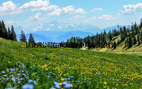 这使得公司在市场竞争中具有明显优势
