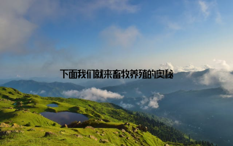 下面我们就来畜牧养殖的奥秘