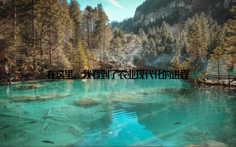 在这里, 我看到了农业现代化的进程