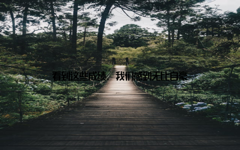 看到这些成绩, 我们感到无比自豪