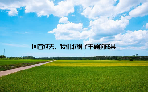 回首过去, 我们取得了丰硕的成果