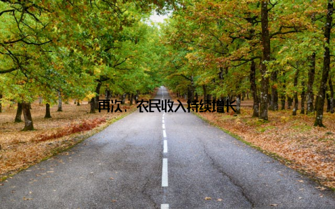再次, 农民收入持续增长