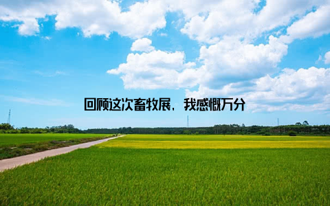回顾这次畜牧展, 我感慨万分