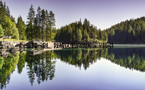 那一刻, 我被这里的氛围深深吸引