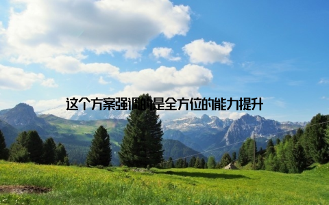这个方案强调的是全方位的能力提升