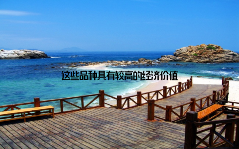 这些品种具有较高的经济价值