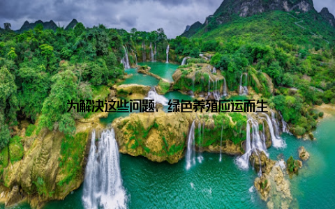 为解决这些问题, 绿色养殖应运而生